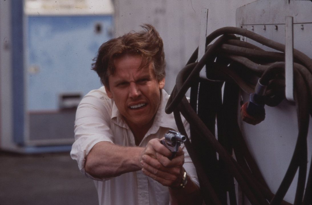 Gefährliche Brandung : Bild