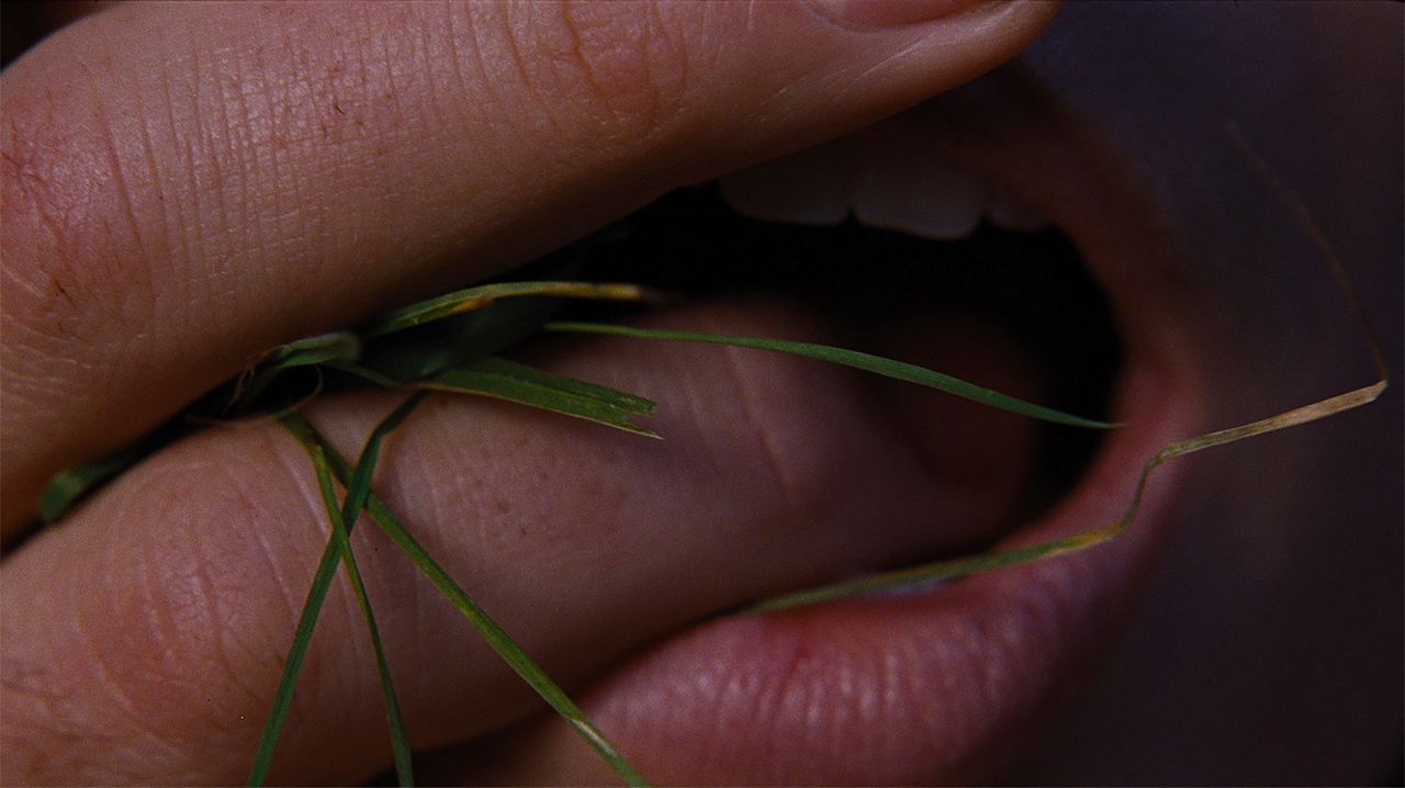 "Wuthering Heights" - Sturmhöhe : Bild