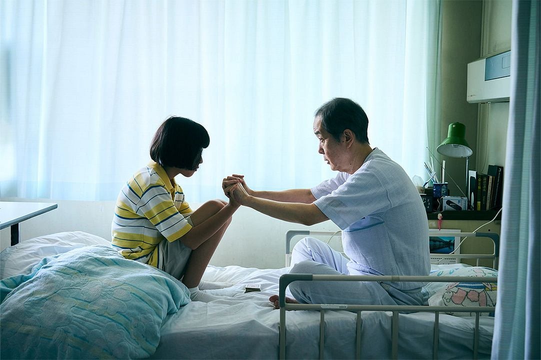 Renoir : Bild Yui Suzuki