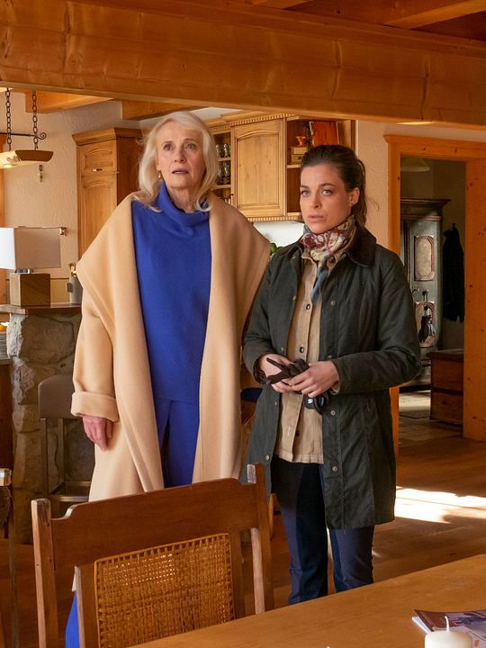 Der Bergdoktor: Herzschmerzen : Kinoposter