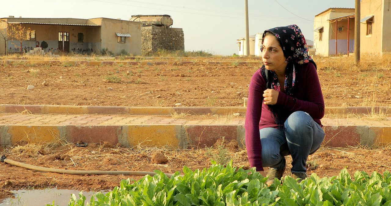 Tevî her tiştî – Trotz alledem : Bild