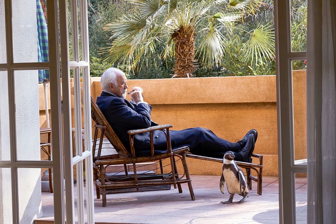 Der Pinguin meines Lebens : Bild Baba and Richard 