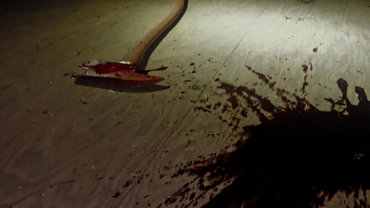 Heretics - Der Satanskult : Bild