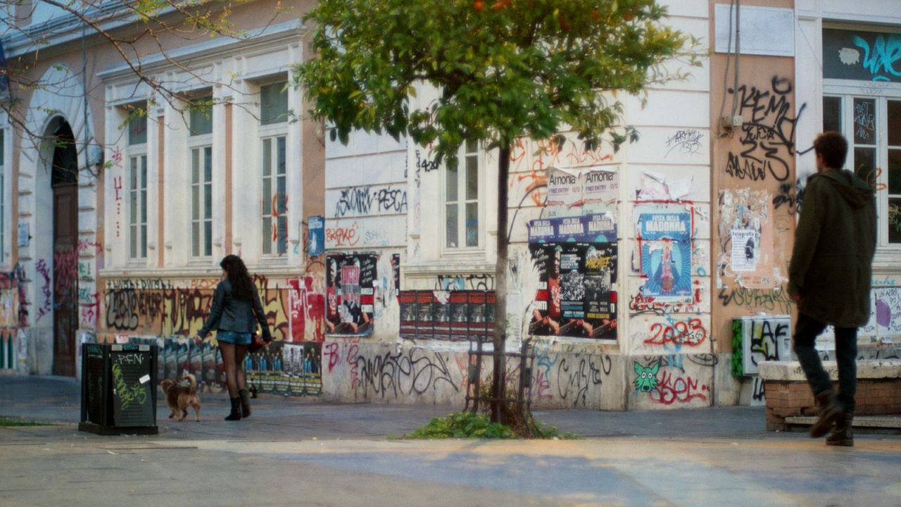 Liebe, Sex und andere Desaster : Bild