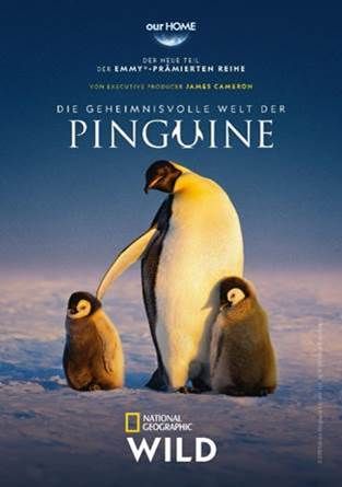 Die geheimnisvolle Welt der Pinguine : Kinoposter