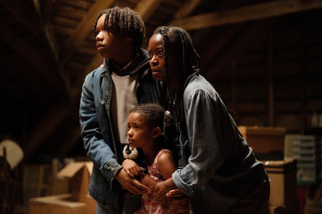 The Woman In The Yard : Bild