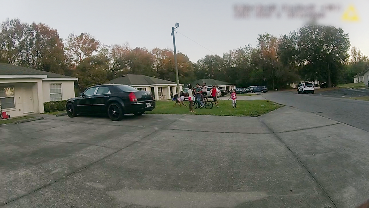 The Perfect Neighbor – Ein Gesetz und seine Folgen : Bild