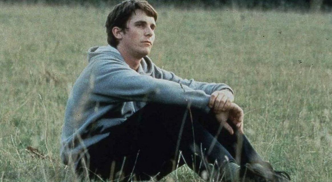 All The Little Animals : Bild