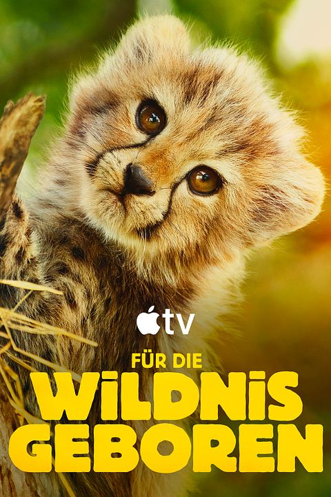 Für die Wildnis geboren : Kinoposter