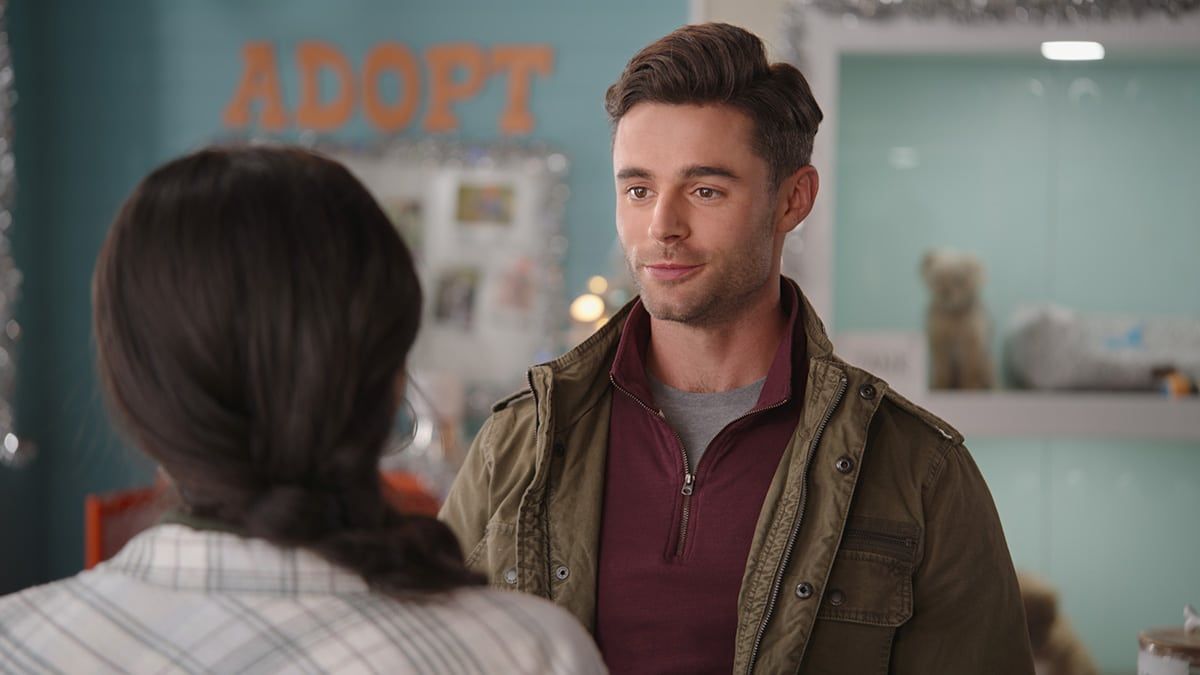 Weihnachtsglück mit Herz und Hund : Bild