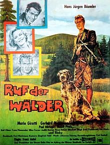 Ruf der Wälder : Kinoposter