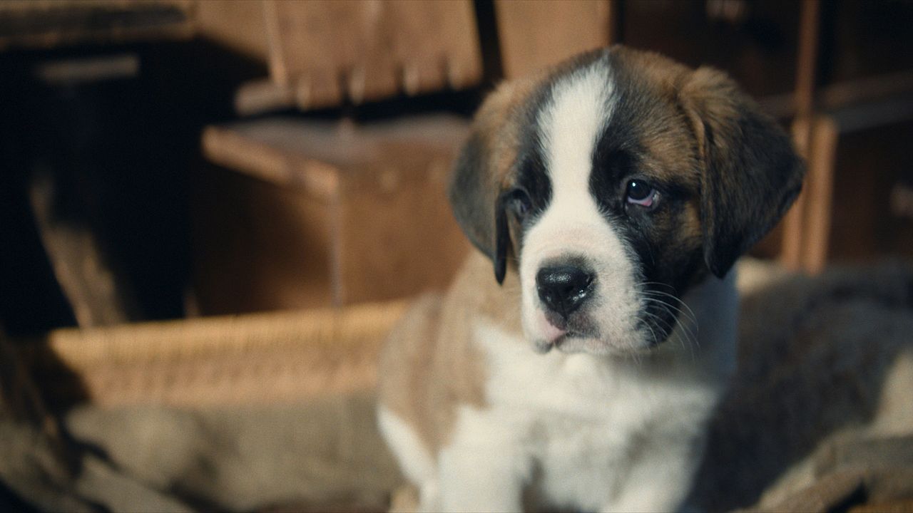 Mein Freund Barry : Bild