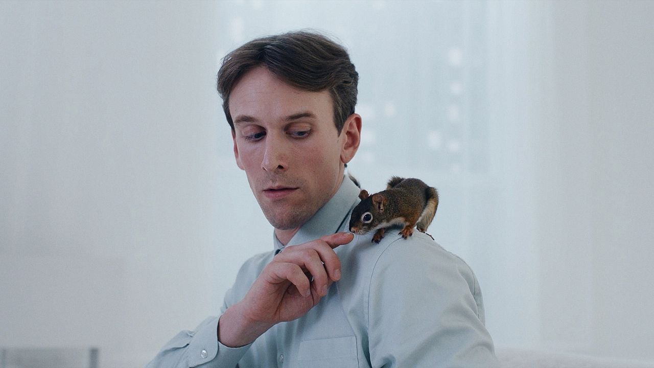 Das Eichhörnchen : Bild