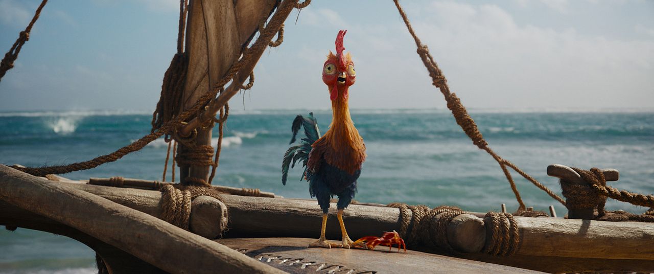 Vaiana : Bild