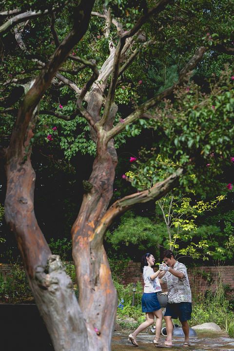 No Other Choice : Bild