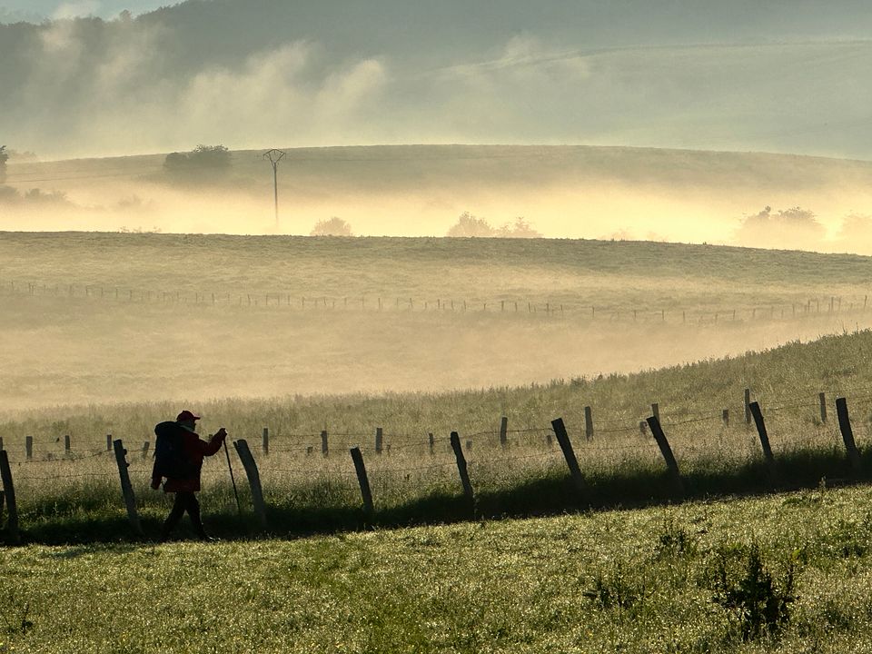 MEIN WEG - 780 km zu mir : Bild