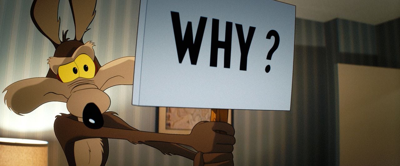 Coyote vs Acme : Bild