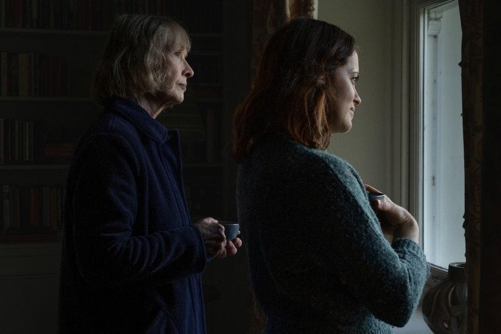 H wie Habicht : Bild