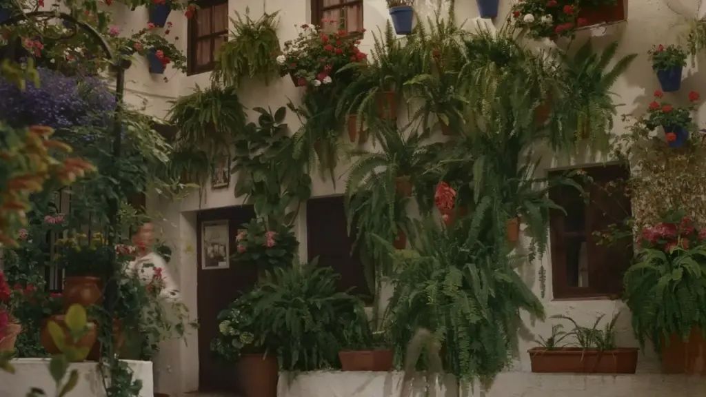 I Wish You Had Told Me : Bild Juan Karlos Labajo