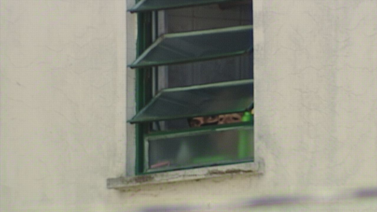 Geiselnahme live: Der Fall Eloá Pimentel : Bild