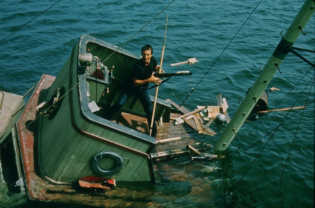 Der weiße Hai : Bild