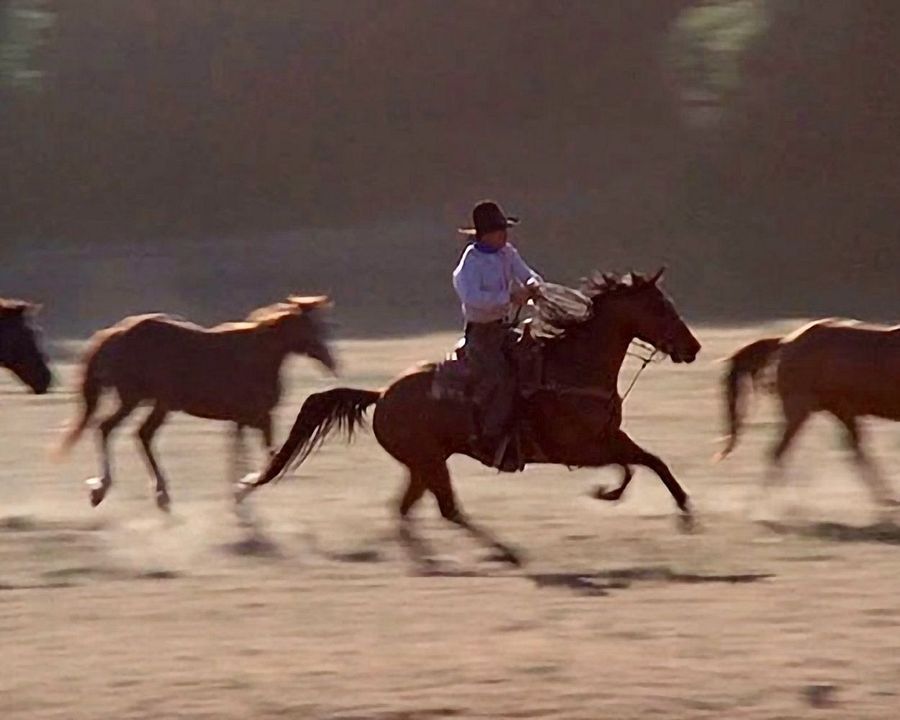 Ein Mann aus Stahl : Bild