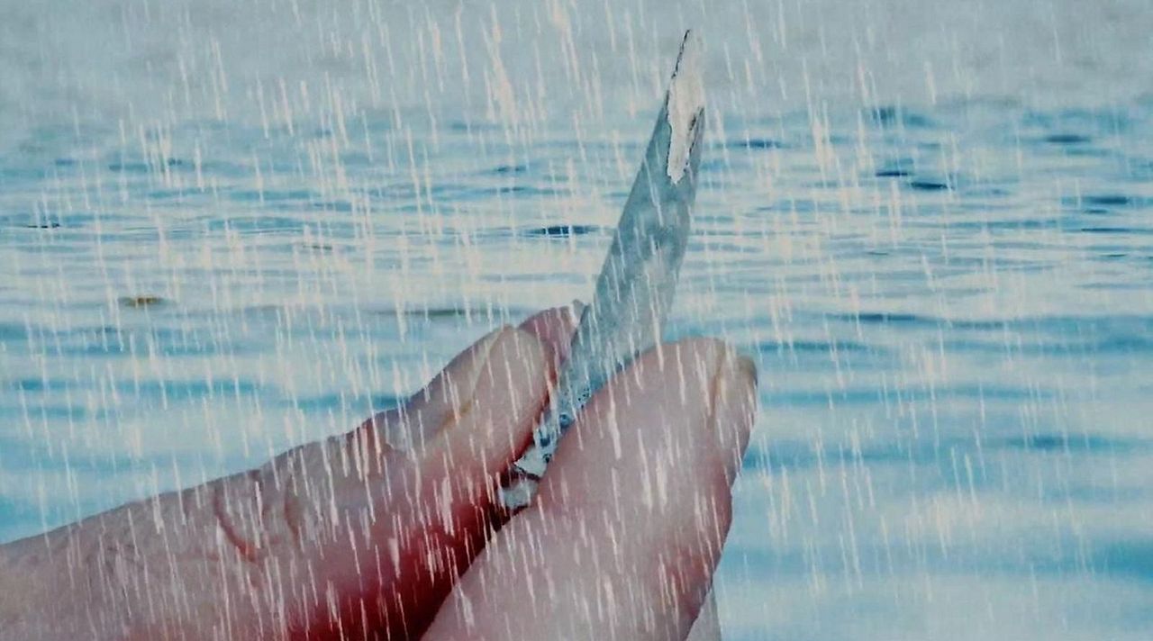 Doll Shark : Bild