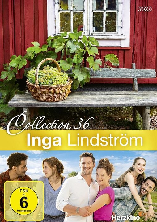 Inga Lindström: Herz über Kopf : Kinoposter