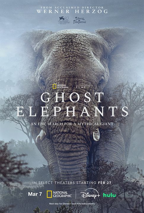 Ghost Elephants - Die Geister im Hochland Angolas : Kinoposter