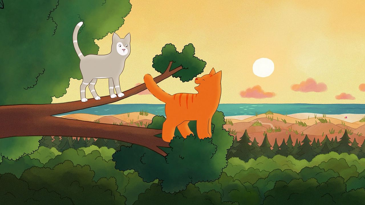 Tommy Tom - der verschwundene Teddybär : Bild