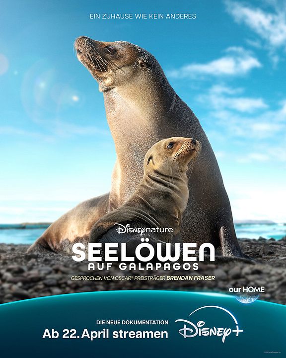 Seelöwen auf Galápagos : Kinoposter