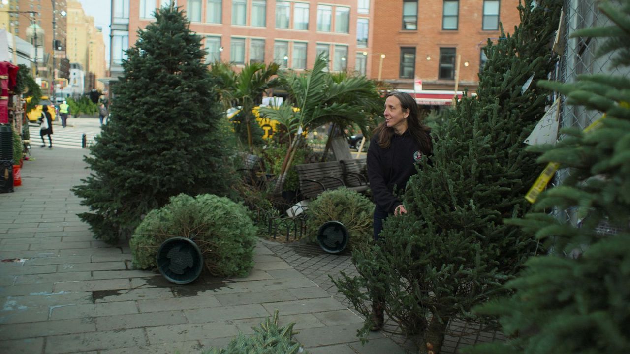 The Merchants Of Joy : Bild