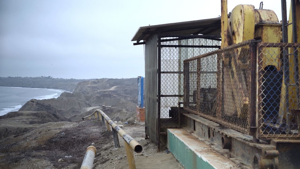 Wir, die Wolfs : Bild