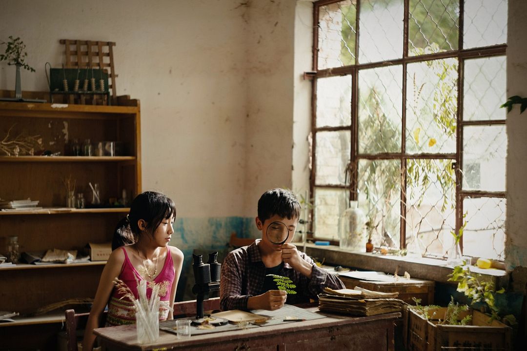 Der Botaniker : Bild