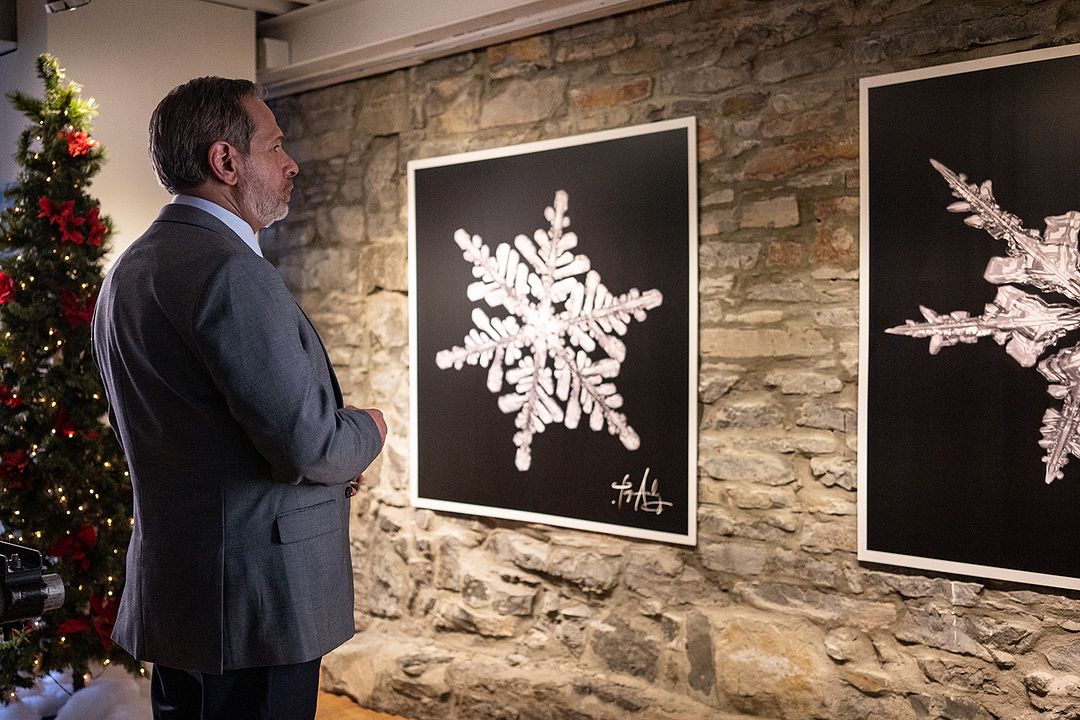 Im Fokus der Liebe - Falling Like Snowflakes : Bild Michael Gordin Shore