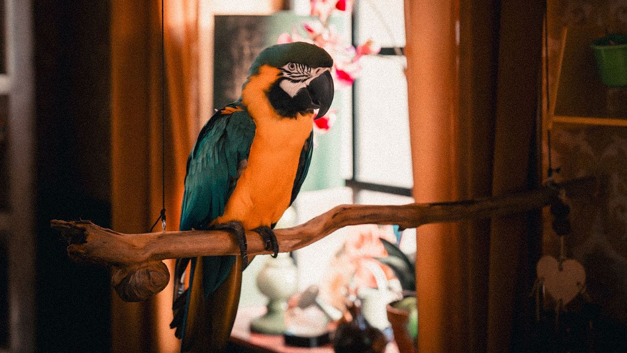 Die Kinder aus der Silberstraße : Bild