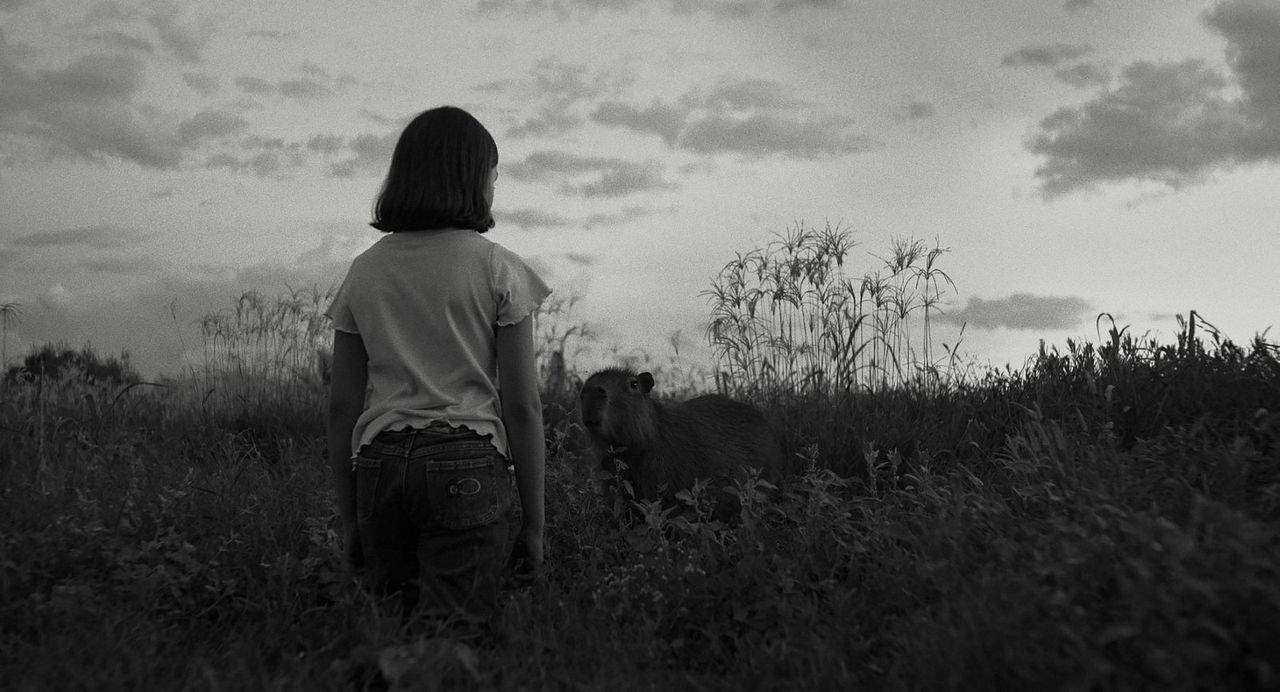 Die Nachricht : Bild