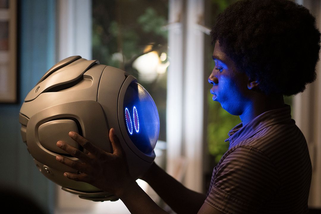 Momo : Bild Araloyin Oshunremi