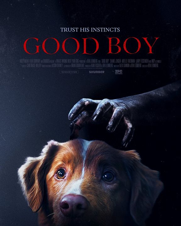 Good Boy - Trust His Instincts : Kinoposter