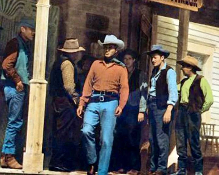 Der Mann aus Texas : Bild