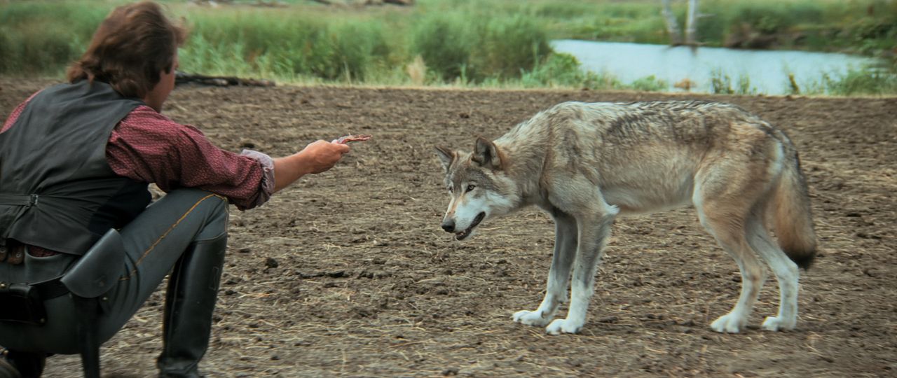 Der mit dem Wolf tanzt : Bild Kevin Costner