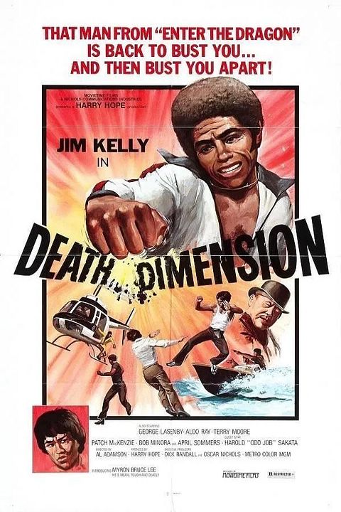 Death Dimension - Der Einzelkämpfer : Kinoposter