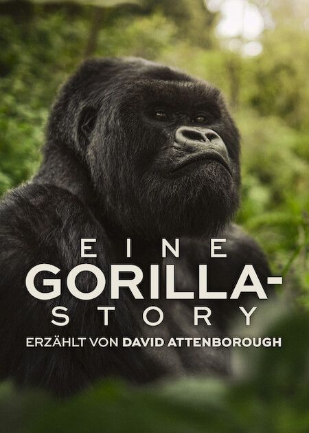 Eine Gorilla-Story erzählt von David Attenborough : Kinoposter