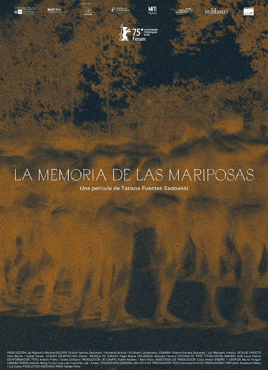 The Memory Of Butterflies : Kinoposter