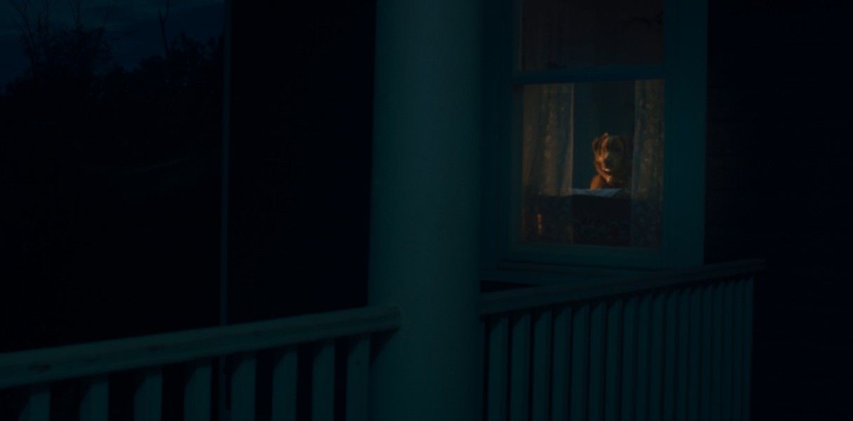 Good Boy - Trust His Instincts : Bild Indy (II) 