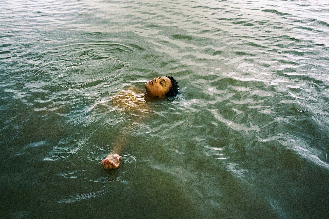 Bird : Bild Nykiya Adams