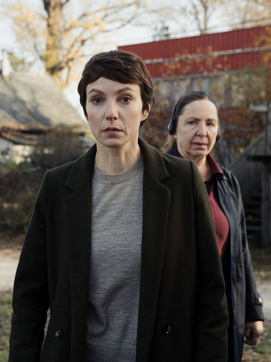 Im Schatten der Angst - Der Skorpion : Kinoposter