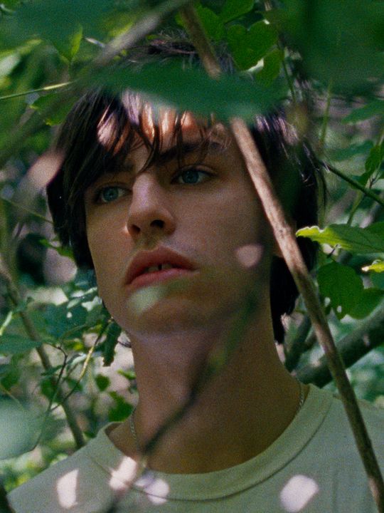 Kinoposter Alva Schäfer