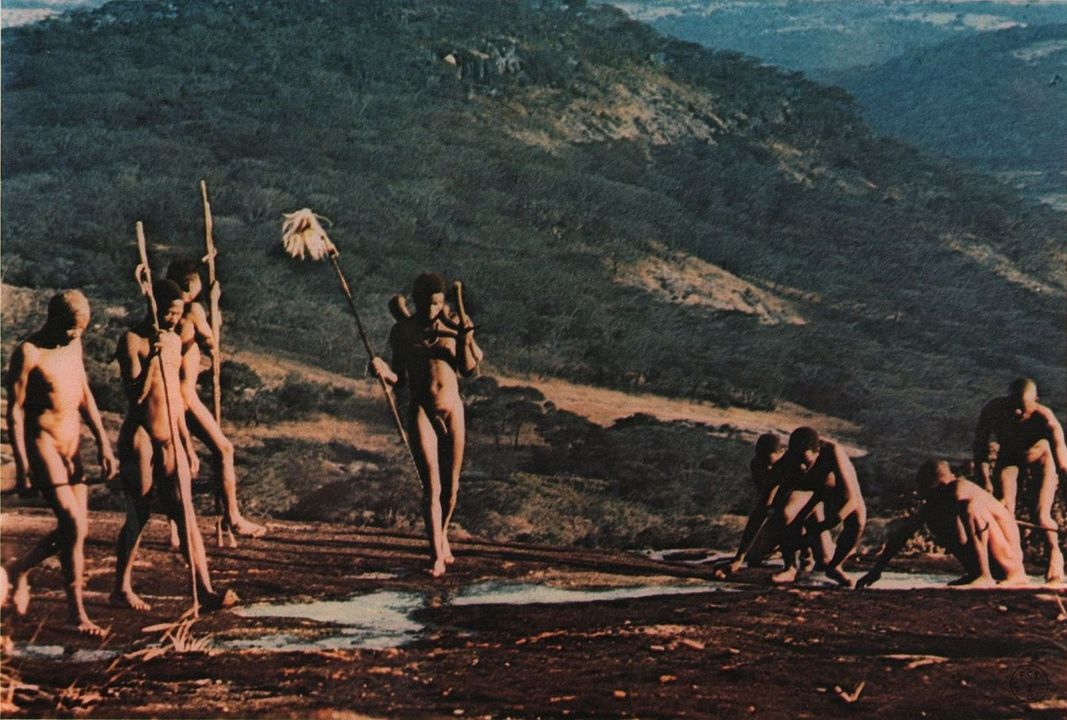 Mondo Bestiale - Der letzte Schrei des Dschungels : Bild