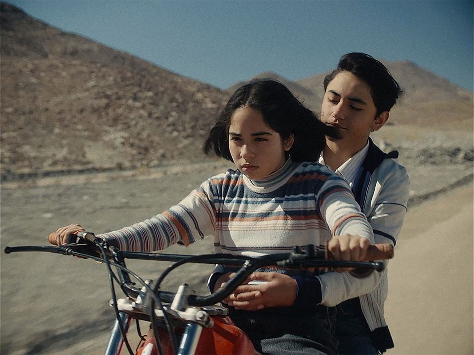 Der geheimnisvolle Blick des Flamingos : Bild